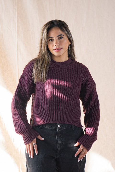 Knitted Cropped Sweater In Burgundy