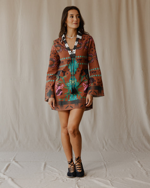 Fantasy Land in Brown Dress